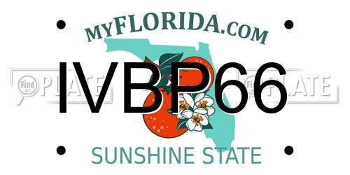 IVBP66 Florida License Plate