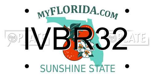 IVBR32 Florida License Plate