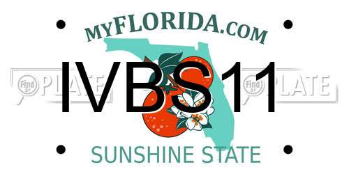 IVBS11 Florida License Plate