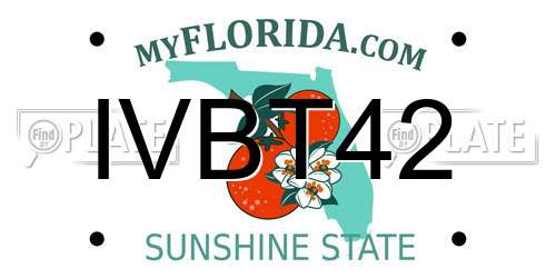 IVBT42 Florida License Plate