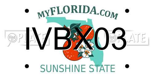 IVBX03 Florida License Plate