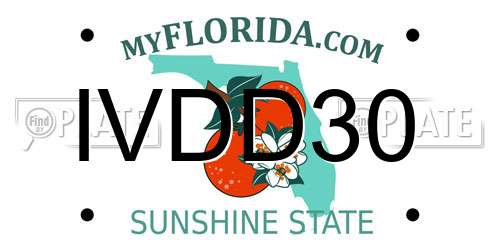 IVDD30 Florida License Plate