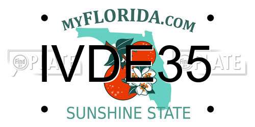 IVDE35 Florida License Plate