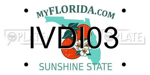 IVDI03 Florida License Plate