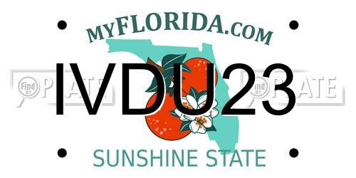 IVDU23 Florida License Plate