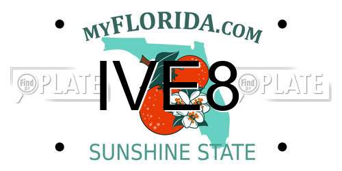 IVE8 Florida License Plate