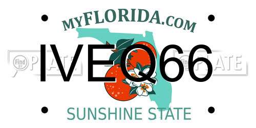 IVEQ66 Florida License Plate