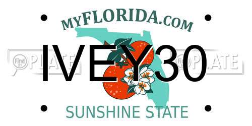 IVEY30 Florida License Plate