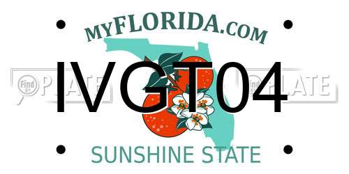 IVGT04 Florida License Plate