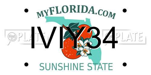 IVIY34 Florida License Plate