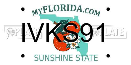 IVKS91 Florida License Plate