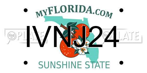 IVNJ24 Florida License Plate