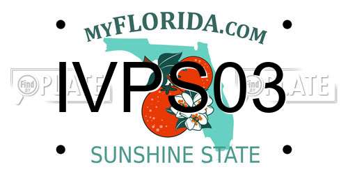 IVPS03 Florida License Plate