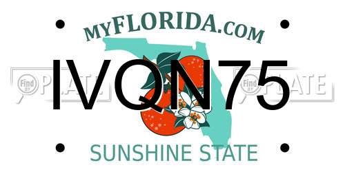 IVQN75 Florida License Plate