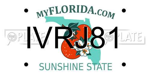 IVRJ81 Florida License Plate