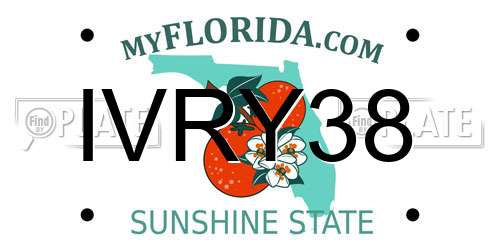 IVRY38 Florida License Plate