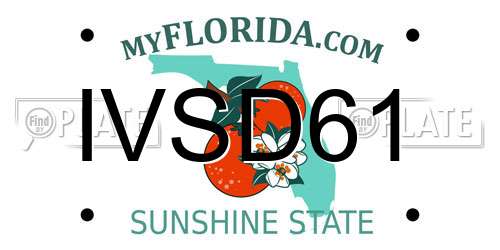 IVSD61 Florida License Plate