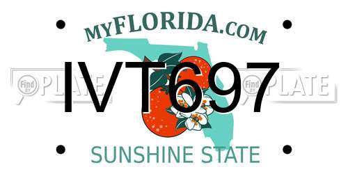 IVT697 Florida License Plate