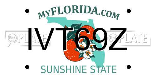 IVT69Z Florida License Plate