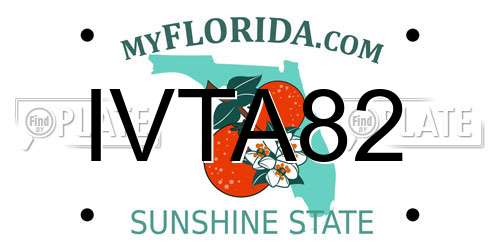 IVTA82 Florida License Plate