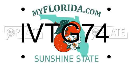 IVTG74 Florida License Plate