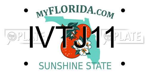 IVTJ11 Florida License Plate