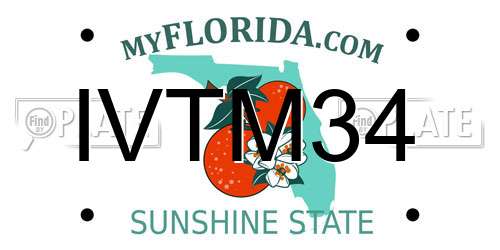 IVTM34 Florida License Plate