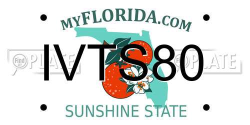 IVTS80 Florida License Plate