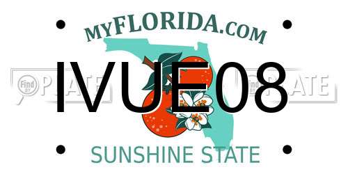 IVUE08 Florida License Plate