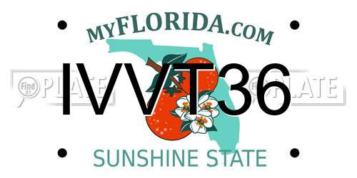 IVVT36 Florida License Plate