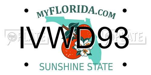 IVWD93 Florida License Plate