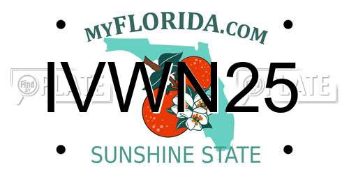 IVWN25 Florida License Plate