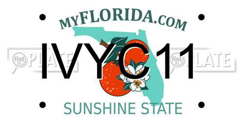 IVYC11 Florida License Plate