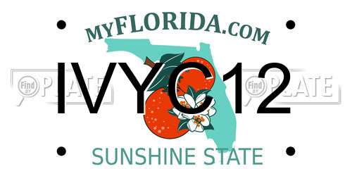 IVYC12 Florida License Plate