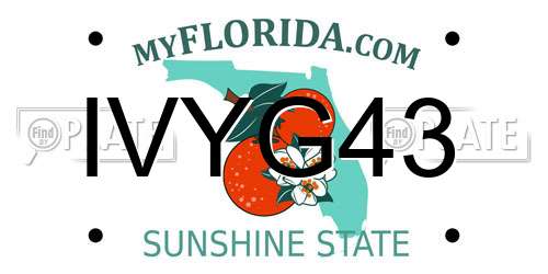 IVYG43 Florida License Plate