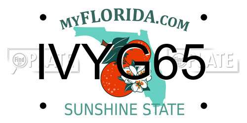 IVYG65 Florida License Plate
