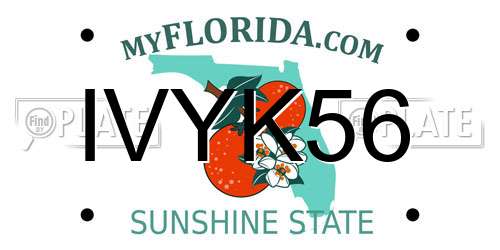 IVYK56 Florida License Plate