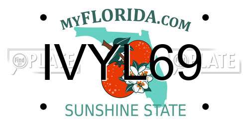 IVYL69 Florida License Plate