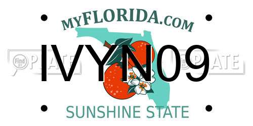 IVYN09 Florida License Plate
