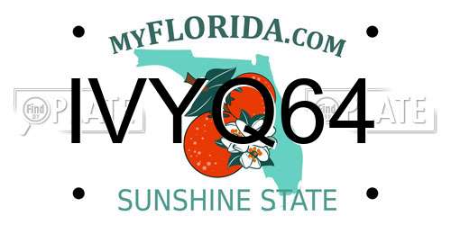 IVYQ64 Florida License Plate
