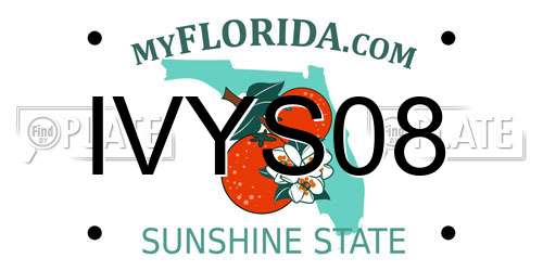 IVYS08 Florida License Plate