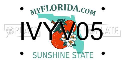 IVYV05 Florida License Plate