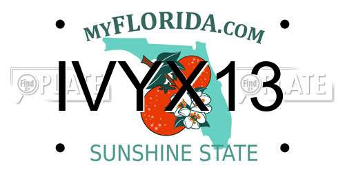 IVYX13 Florida License Plate
