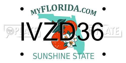 IVZD36 Florida License Plate
