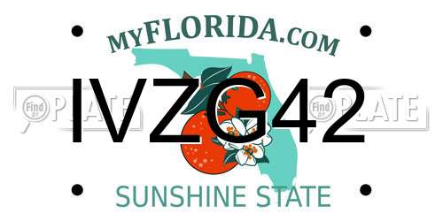 IVZG42 Florida License Plate
