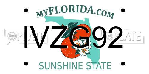 IVZG92 Florida License Plate