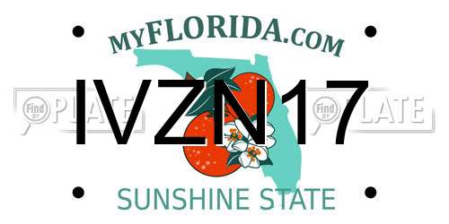 IVZN17 Florida License Plate