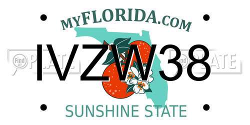 IVZW38 Florida License Plate