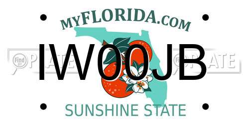 IW00JB Florida License Plate