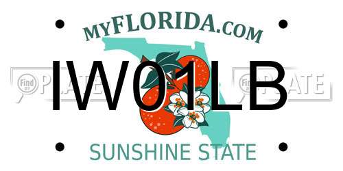 IW01LB Florida License Plate
